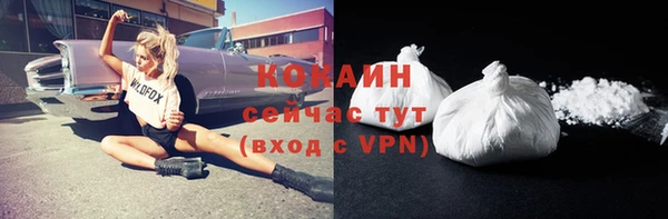 шишки Бронницы