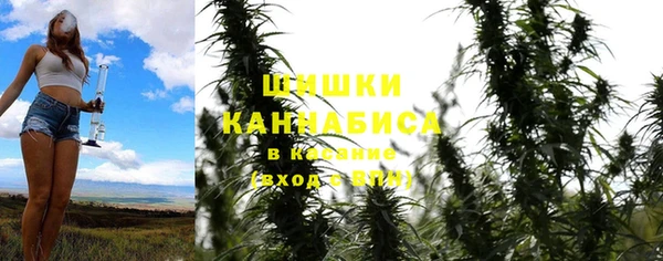 дживик Верея